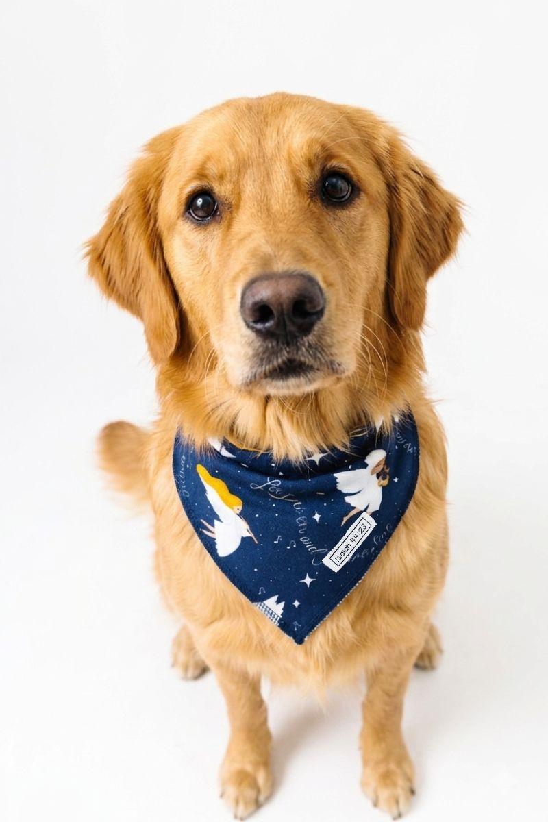 Heaven & Nature Sing Pet Bandana Cotton