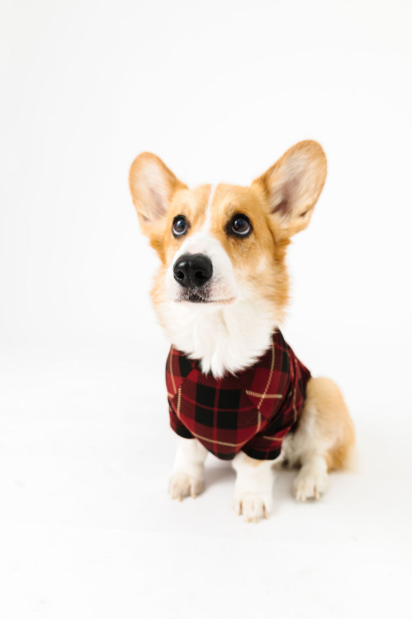 Newborn King Pet Pullover Bamboo