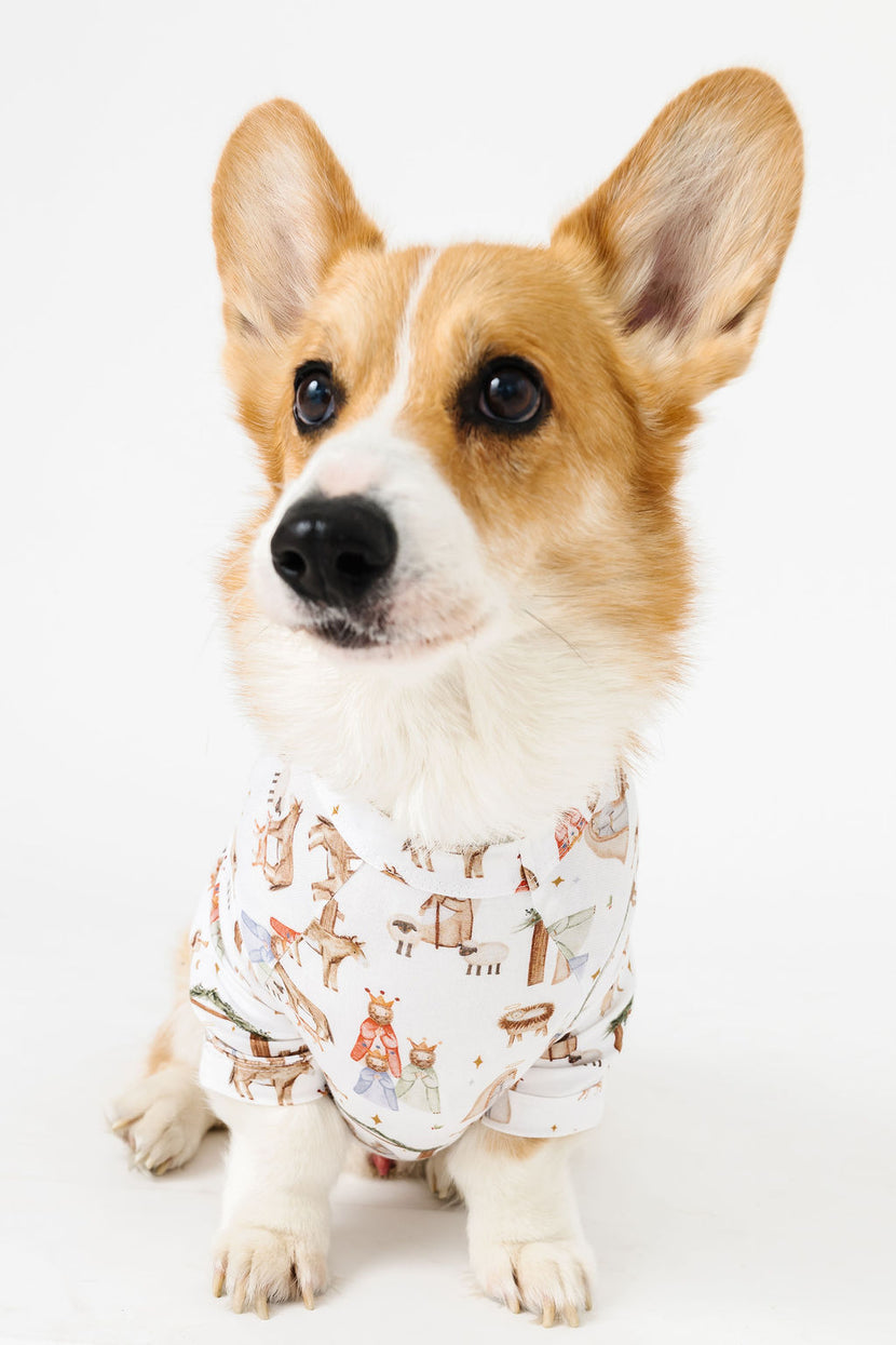 The First Noel Pet Pullover Bamboo