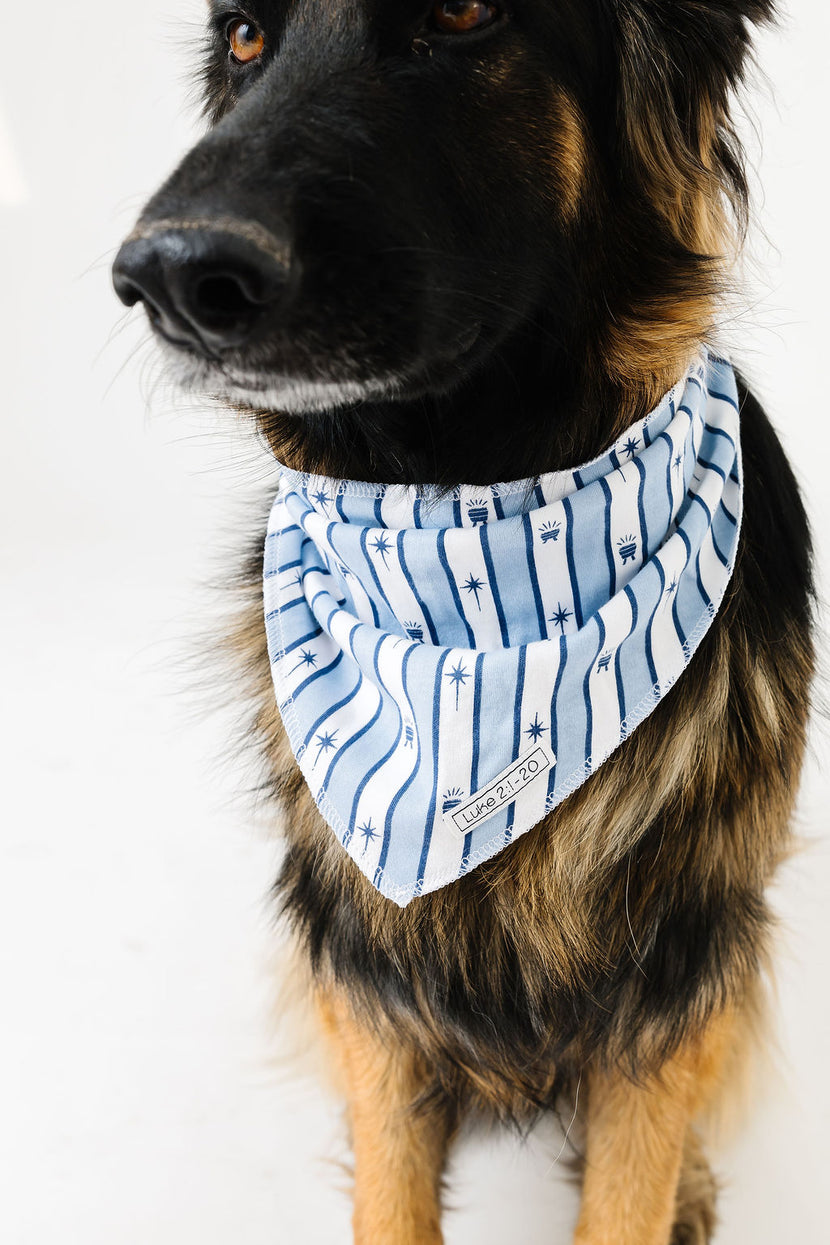 Star of Wonder Pet Bandana Organic Cotton