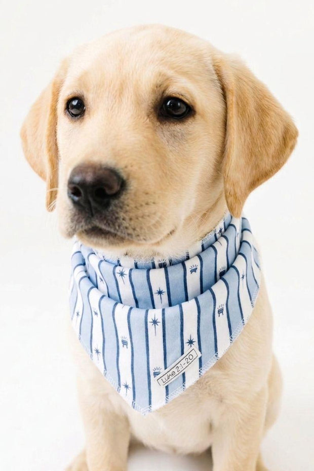 Star of Wonder Pet Bandana Organic Cotton