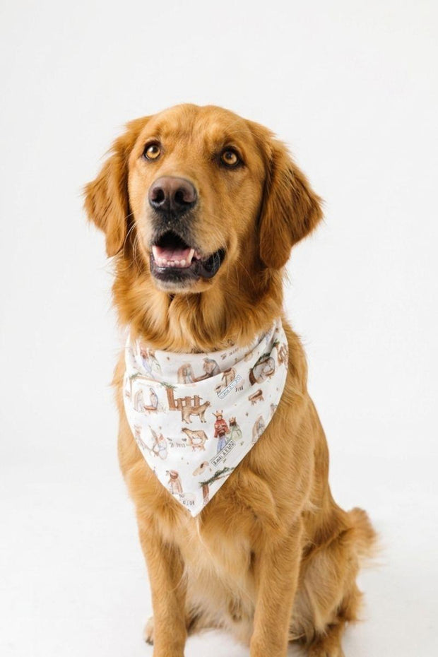 The First Noel Pet Bandana Bamboo