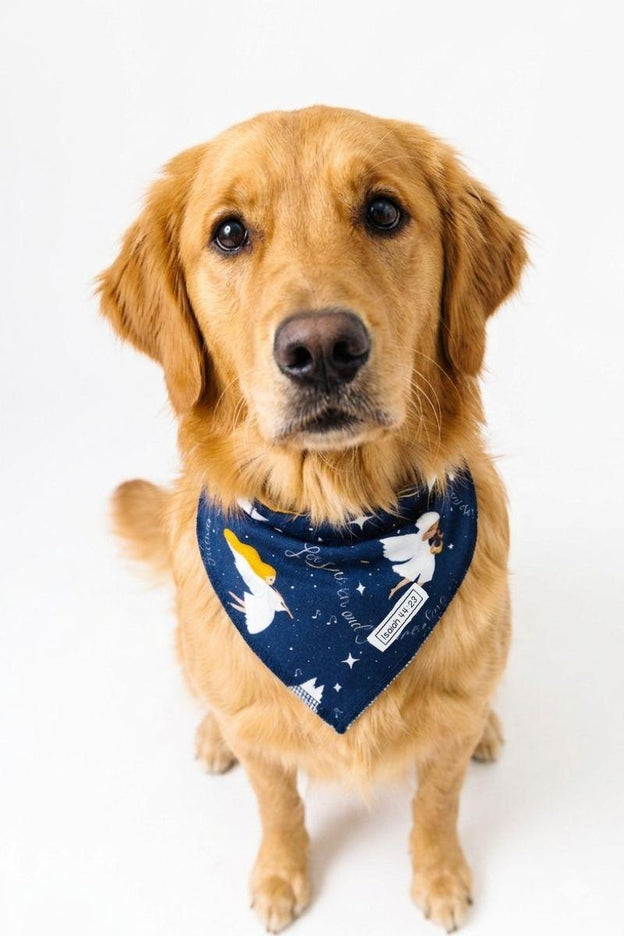 Heaven & Nature Sing Pet Bandana Cotton