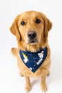 Heaven & Nature Sing Pet Bandana Cotton