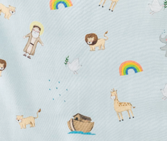 Noah & The Ark