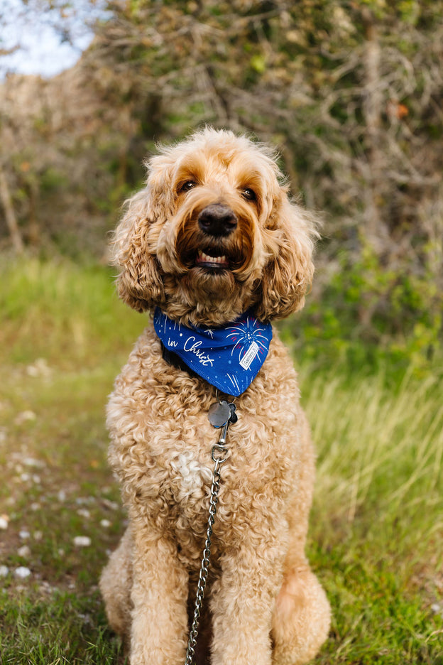 Set Free in Christ Pet Bandana Cotton