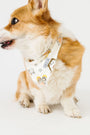 Away in a Manger Pet Bandana Cotton
