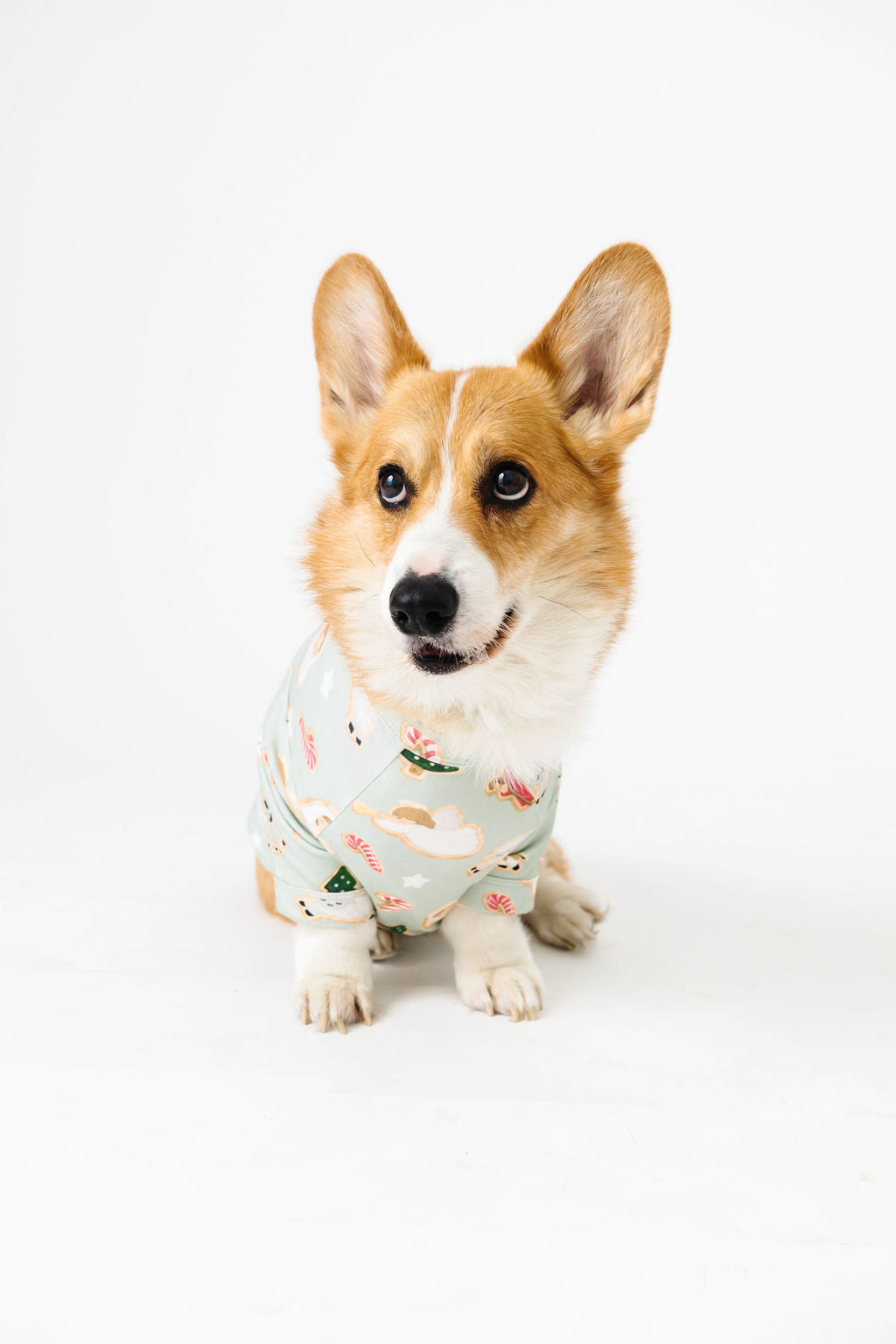 Gingerbread Jesus Pet Pullover Cotton