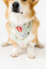 Gingerbread Jesus Pet Bandana Cotton