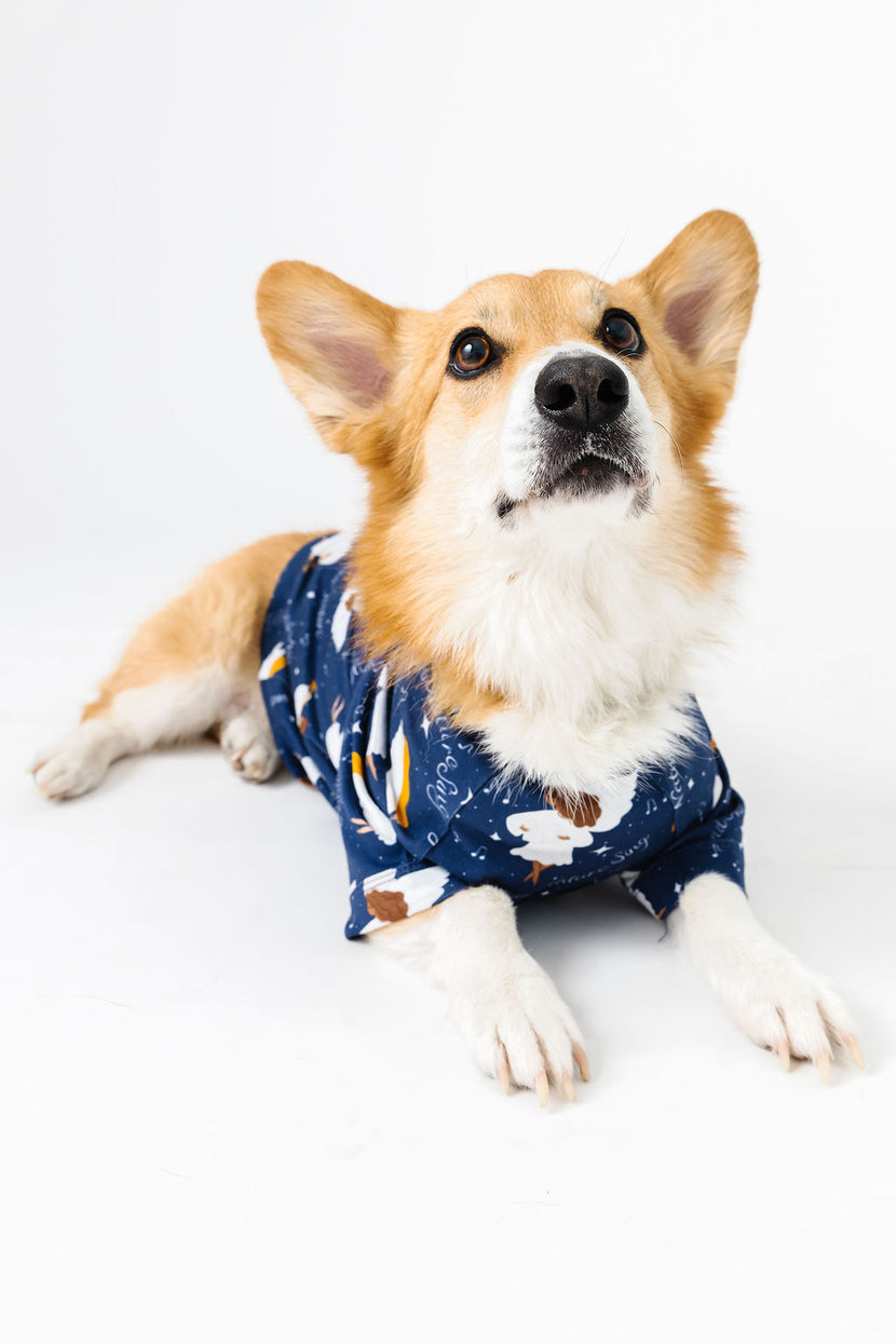 Heaven & Nature Sing Pet Pullover Cotton