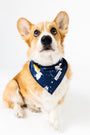 Heaven & Nature Sing Pet Bandana Cotton