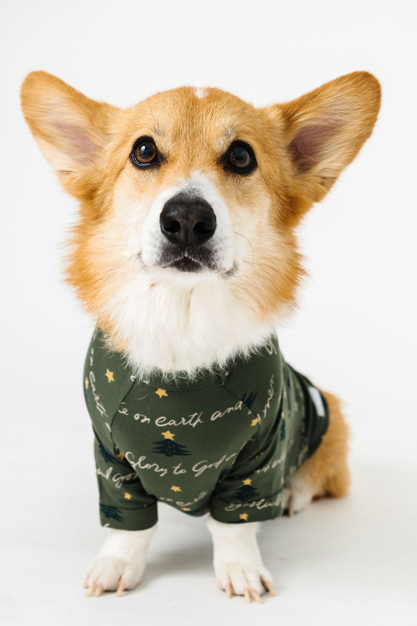 Glory to God Olive Pet Pullover Bamboo