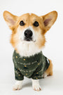 Glory to God Olive Pet Pullover Bamboo
