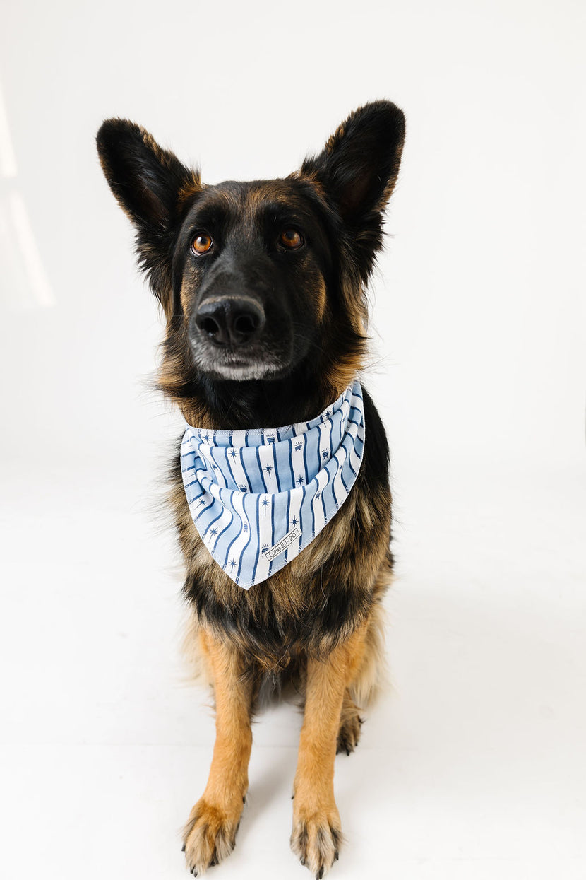 Star of Wonder Pet Bandana Organic Cotton