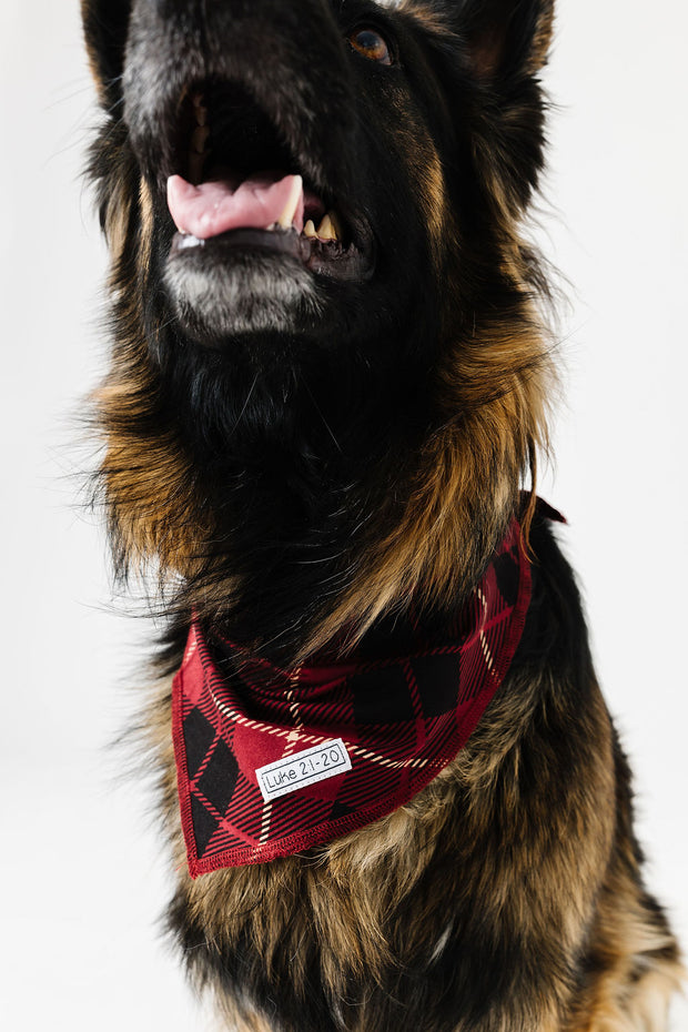 Newborn King Pet Bandana Bamboo