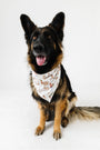 The First Noel Pet Bandana Bamboo
