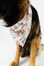 The First Noel Pet Bandana Bamboo