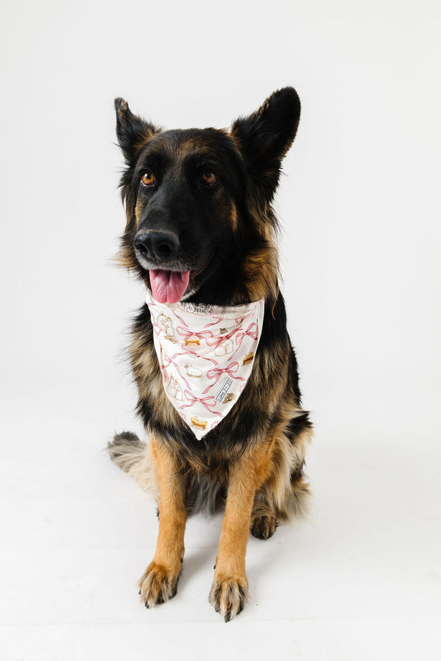 Let Us Adore Him Pet Bandana Bamboo