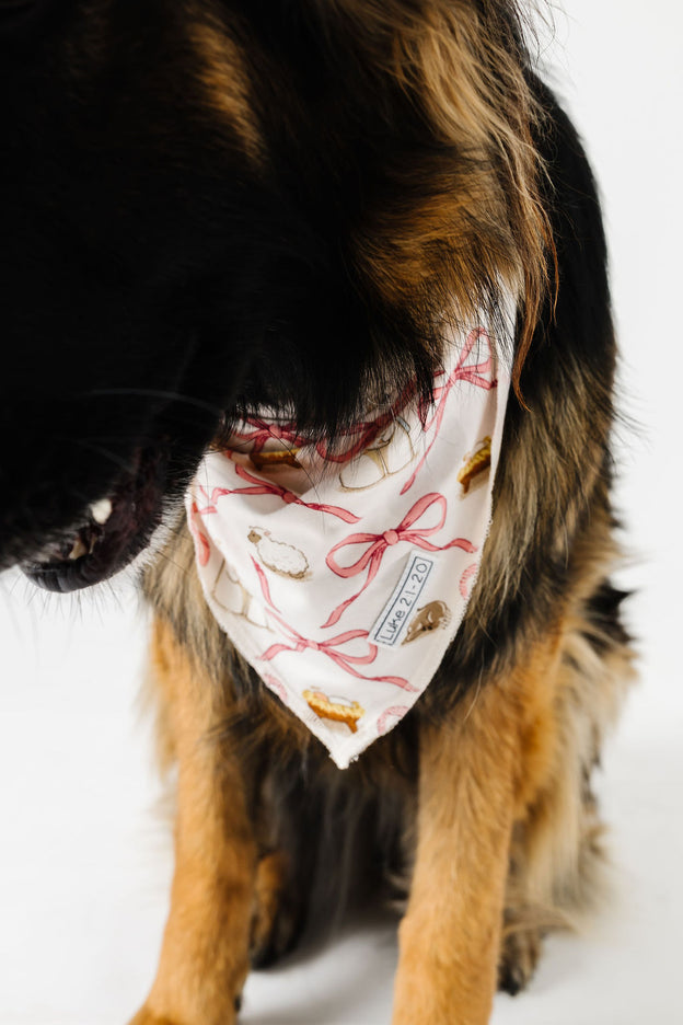 Let Us Adore Him Pet Bandana Bamboo