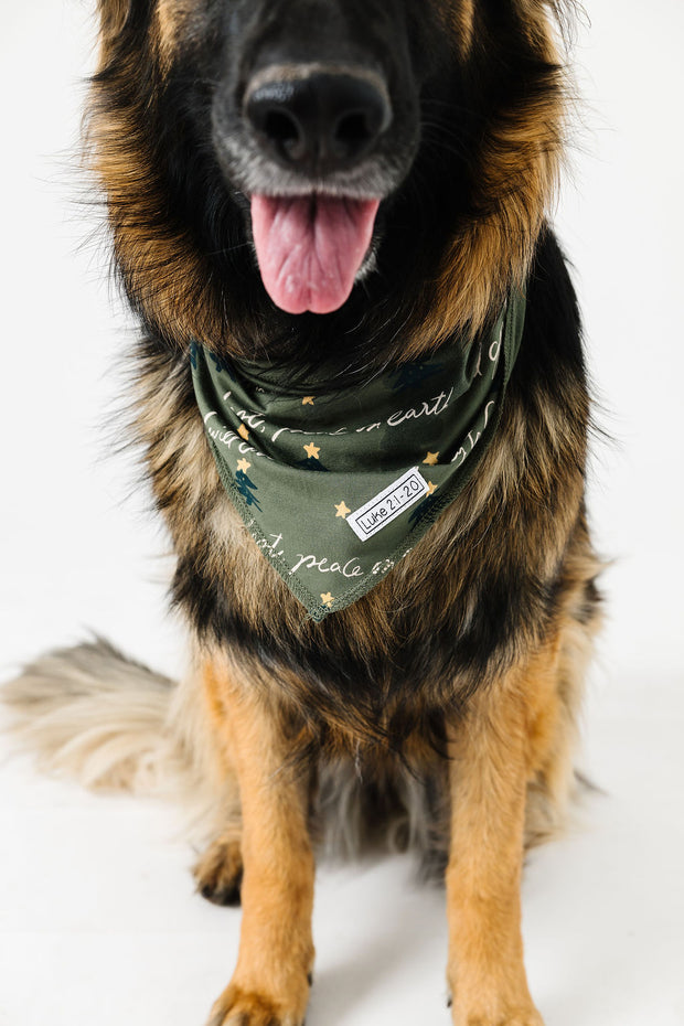 Glory to God Olive Pet Bandana Bamboo