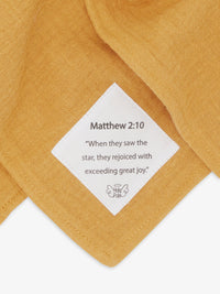 Star Lovey Organic Cotton