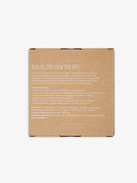 The Easter Story Blocks